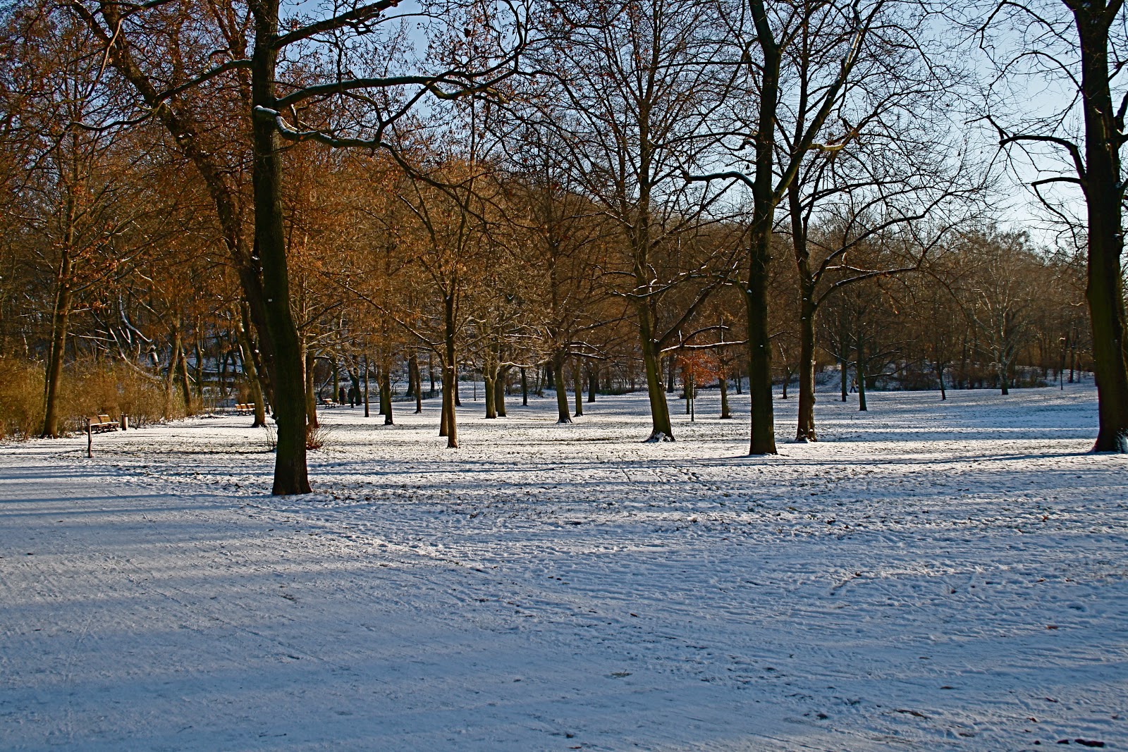 Berlin sous la neige devient une autre ville Rainbow Berlin