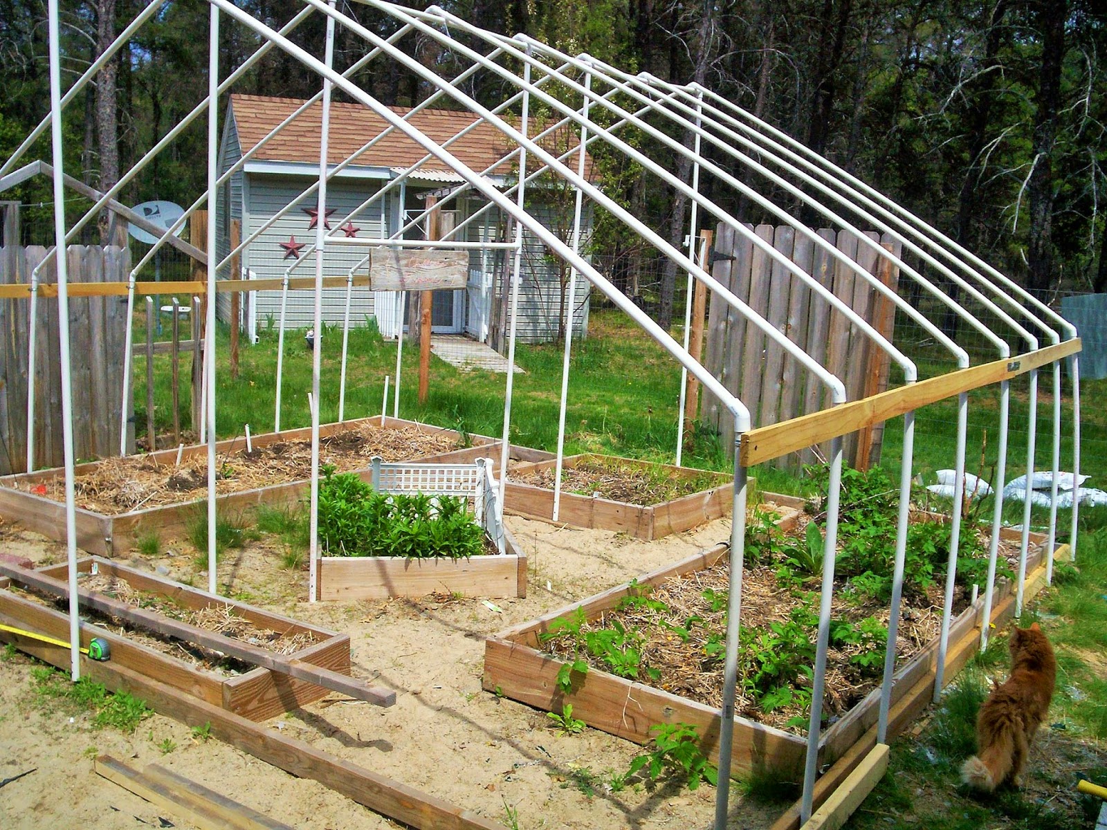 Karens Krafty Kottage Hoop House Garden