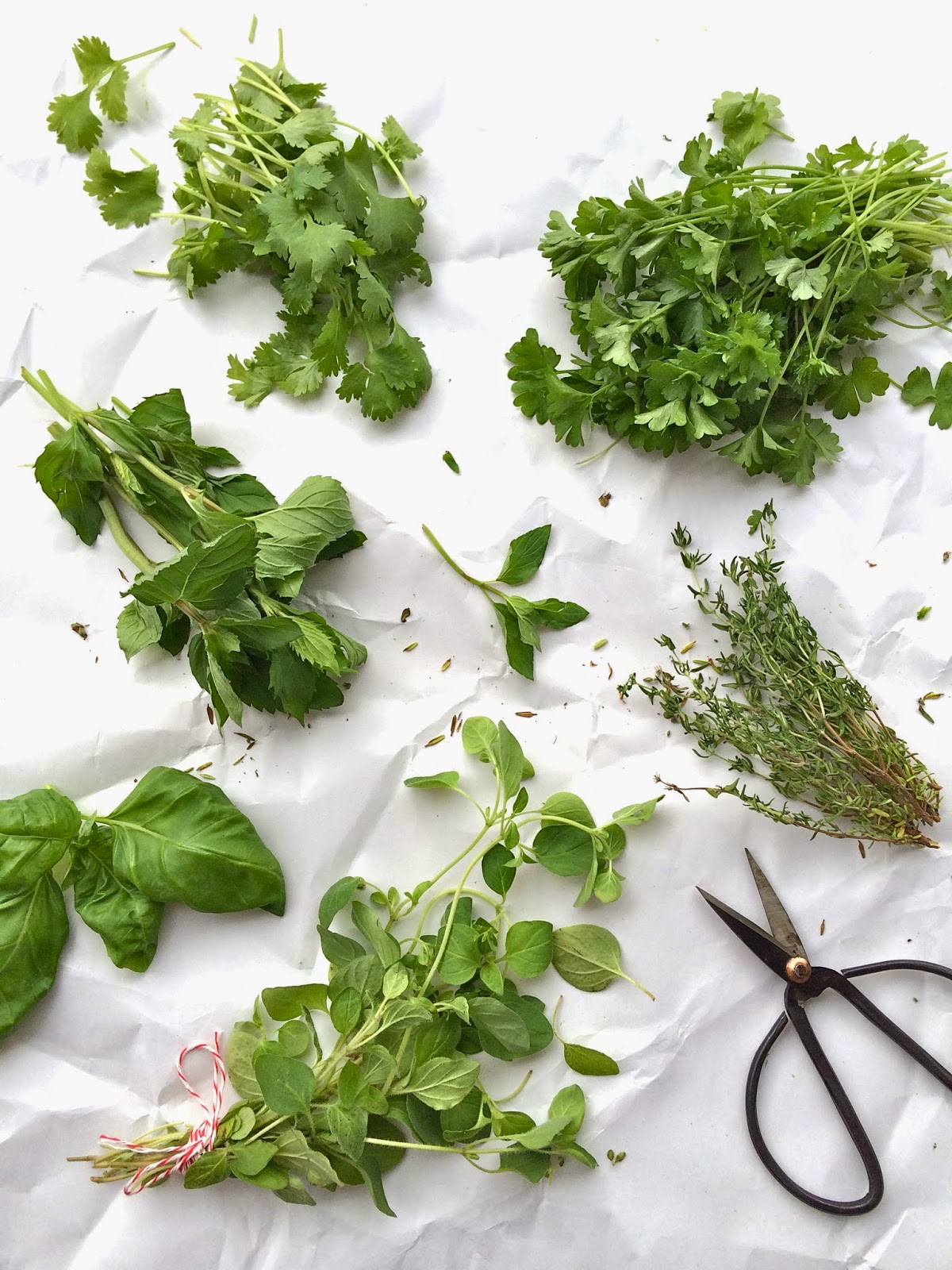 Passionately Raw! Fresh Herb Chimichurri