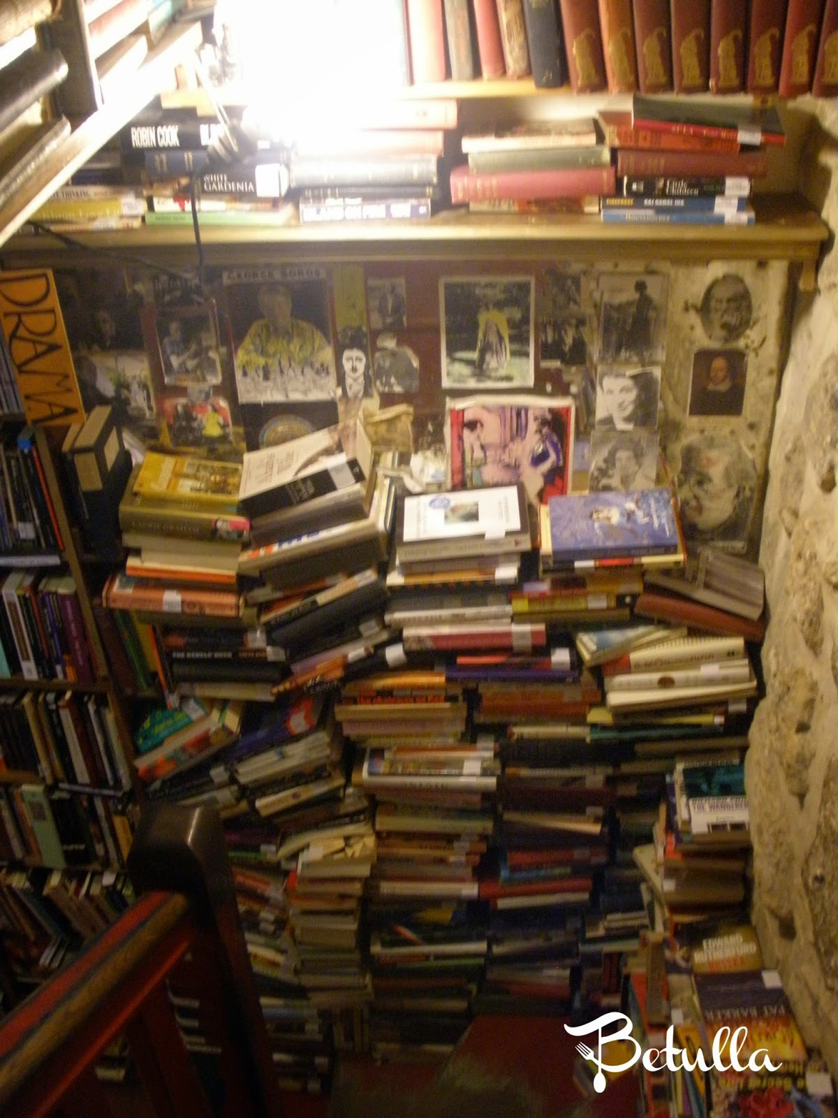 Une petite balade parisienne: i. libreria “shakespeare & co.”
