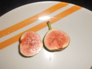 fig fruit