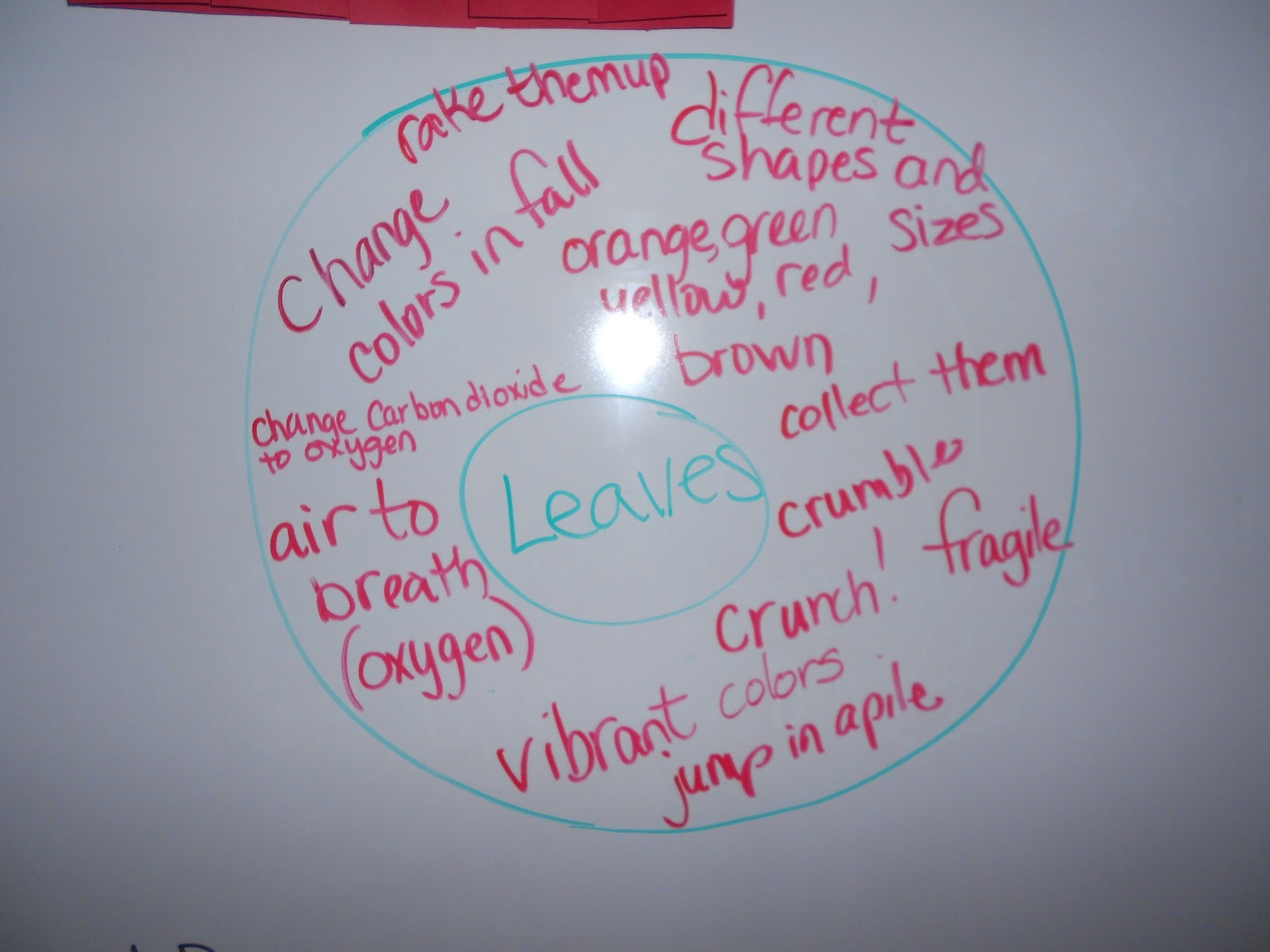 Leaves Acrostic Poetry Teacher By The Beach
