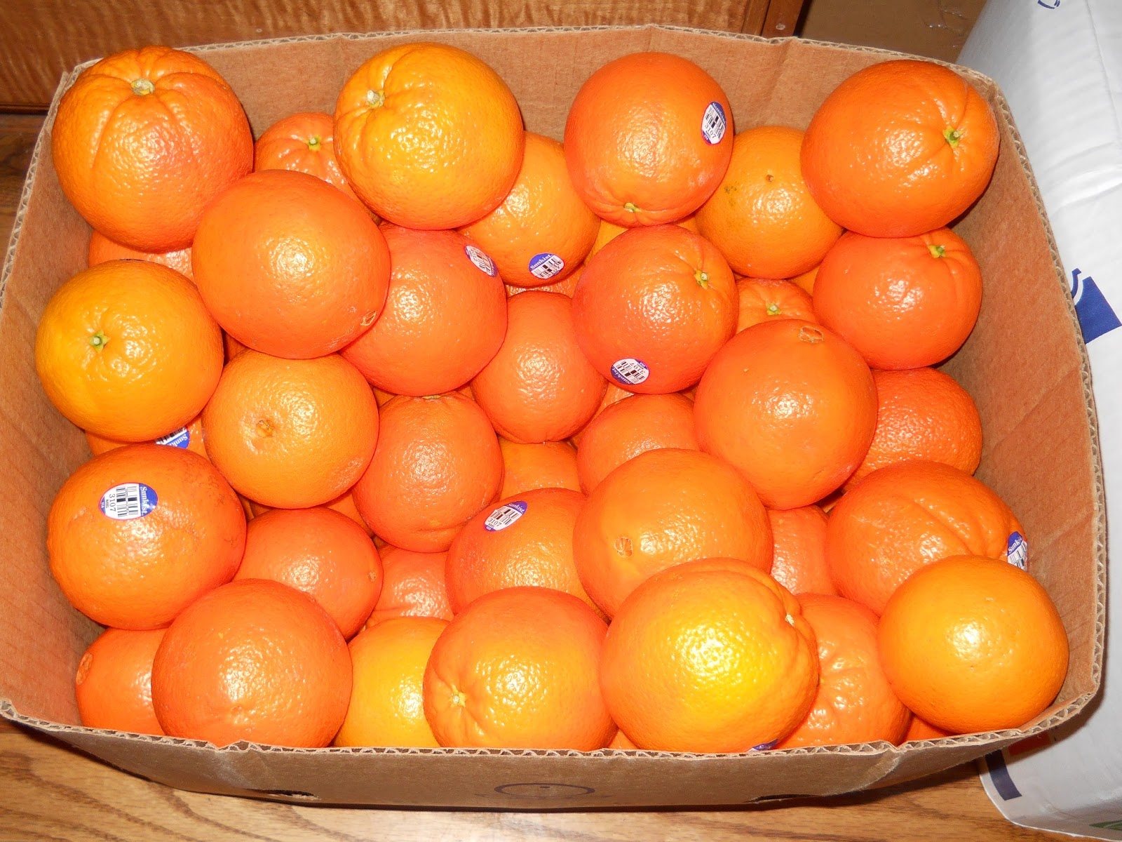 Rich Ideas Canning Oranges