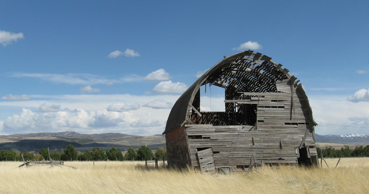 Ogden Insights Things To Do In Idaho Wolverine Canyon and Forty Horse