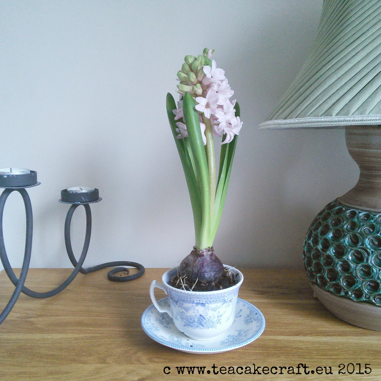 flowers, craft. styled season, spring, green, planting. gardening