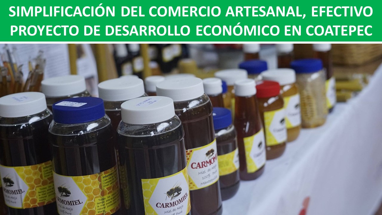 DESARROLLO ECONÓMICO EN COATEPEC