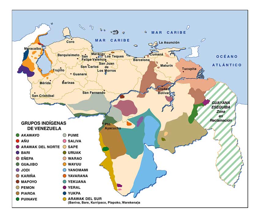 INDIGENAS ACTUALES indigenas actuales: