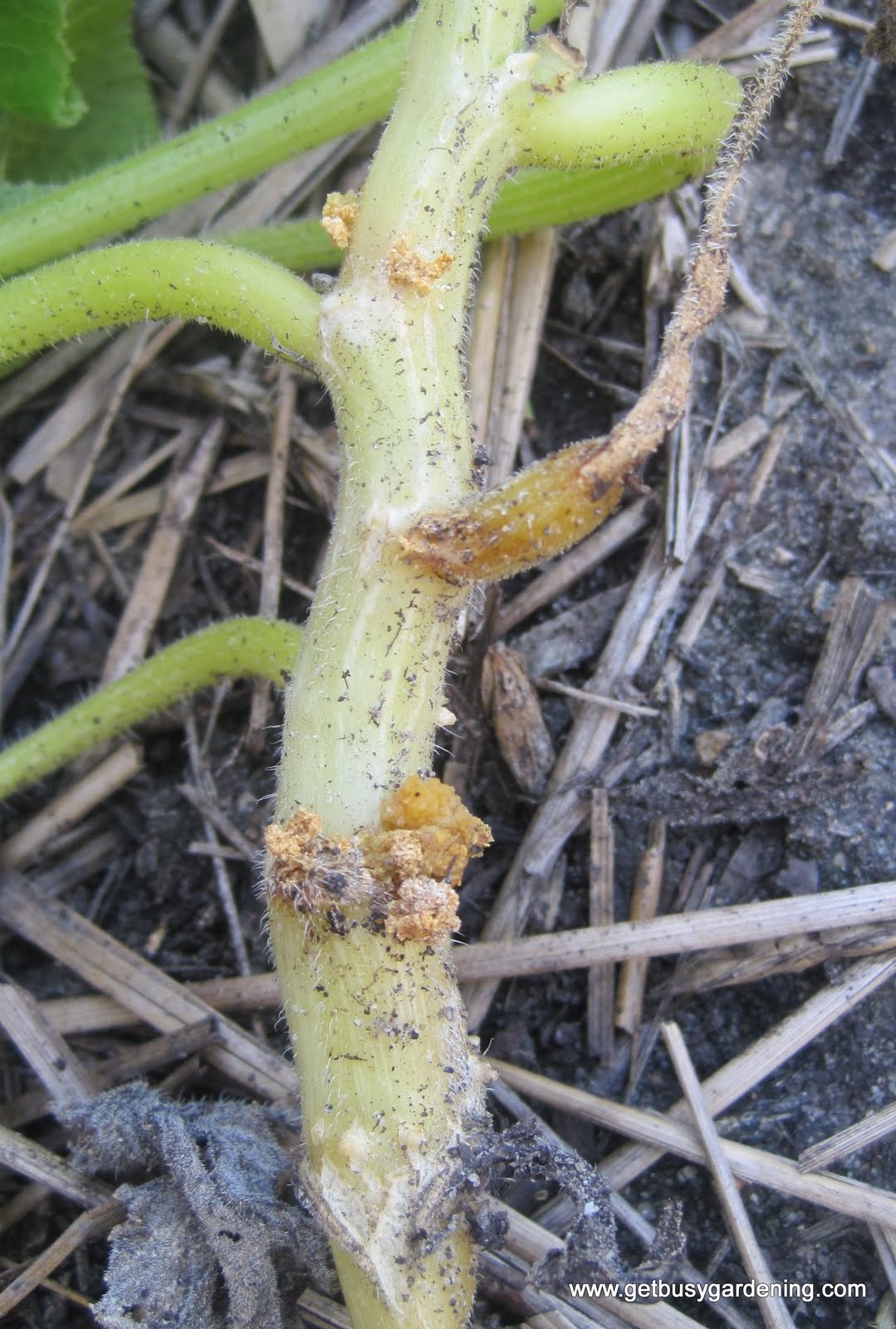 301 Moved Permanently