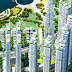 Căn hộ The Park 6 - Vinhomes Central Park