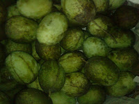 Organic Mango Bangladesh About Bangladesh, bangladesh tourism, Bangladeshi Knowledge, Sundarban, travel bangladesh,