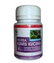 cara mencegah batu ginjal obat alamai batu ginjal gejala batu ginjal