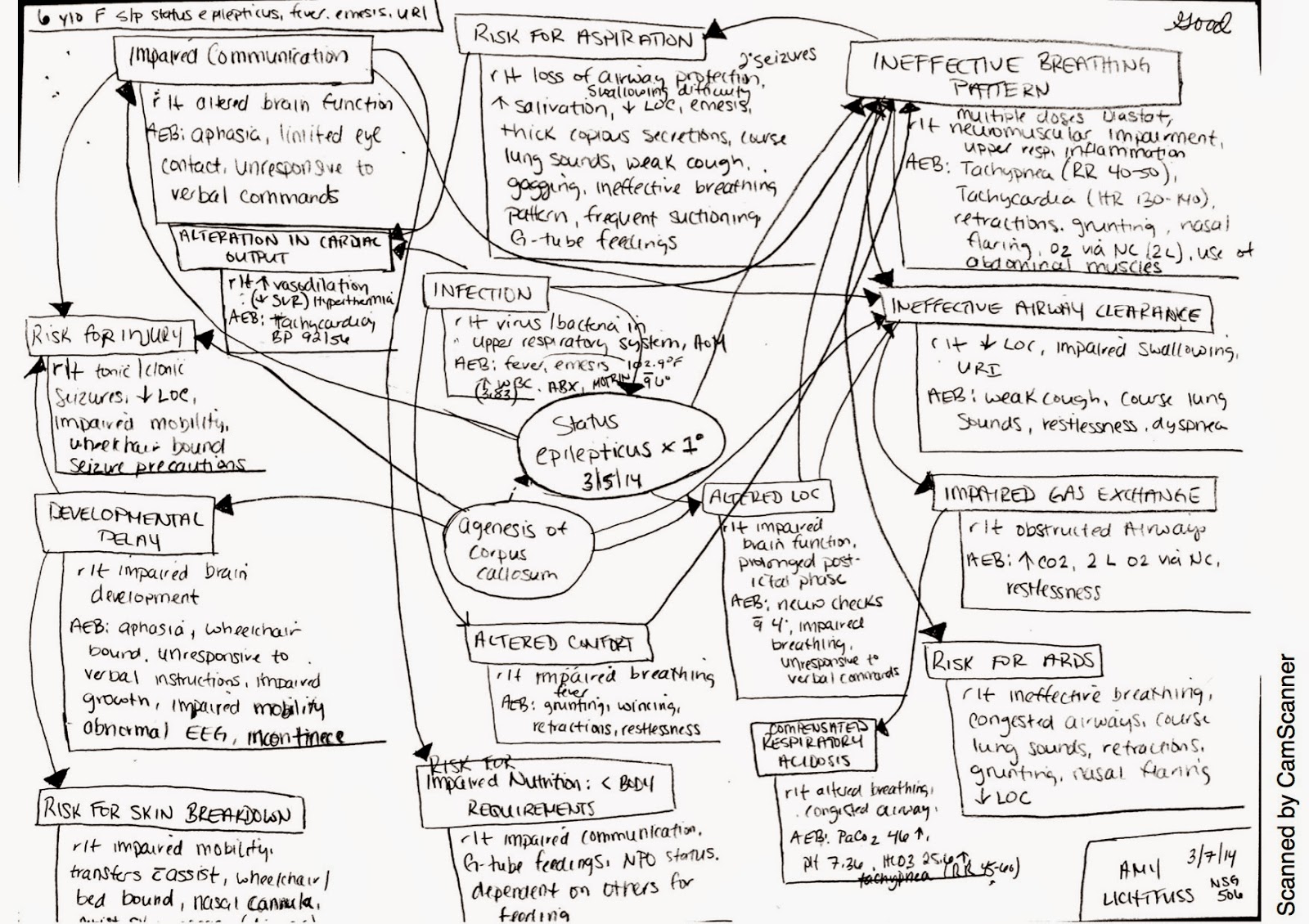 Nursing Portfolio Icu Concept Maps Nursing Portfolio Icu Concept Maps