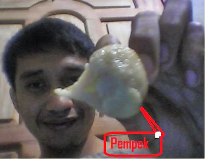 Gambar Pempek Makanan Favorit Blogger Palembang