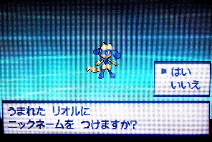 Iro Blog 色違いリオル
