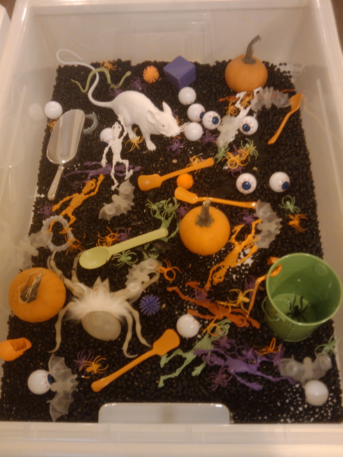 Morning Light Preschool Halloween Sensory Box