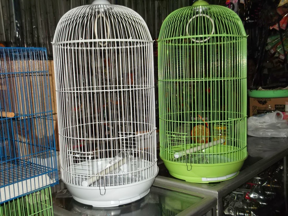 nyari sangkar lovebird silahkan baca pedomanya disini dulu nyari sangkar lovebird silahkan baca pedomanya disini dulu