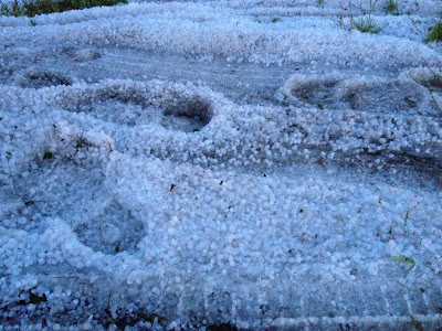 Drama in Steenwijkerwold. Veel gewonden door ingestortte feesttent