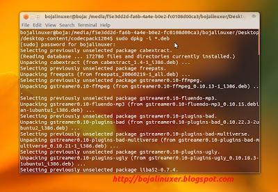 Codec Ubuntu 12.04 LTS