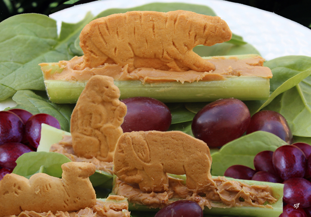 Wellness News at Weighing Success April 18, National Animal Crackers Day