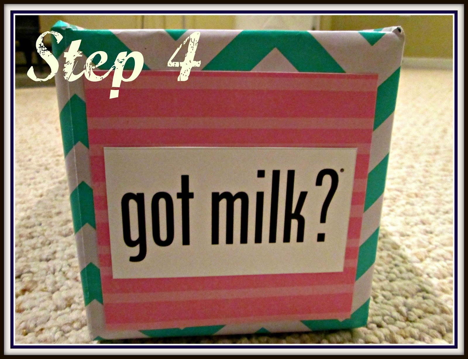 Laura's Plans Breast Milk Freezer Storage from a Soda Can Box