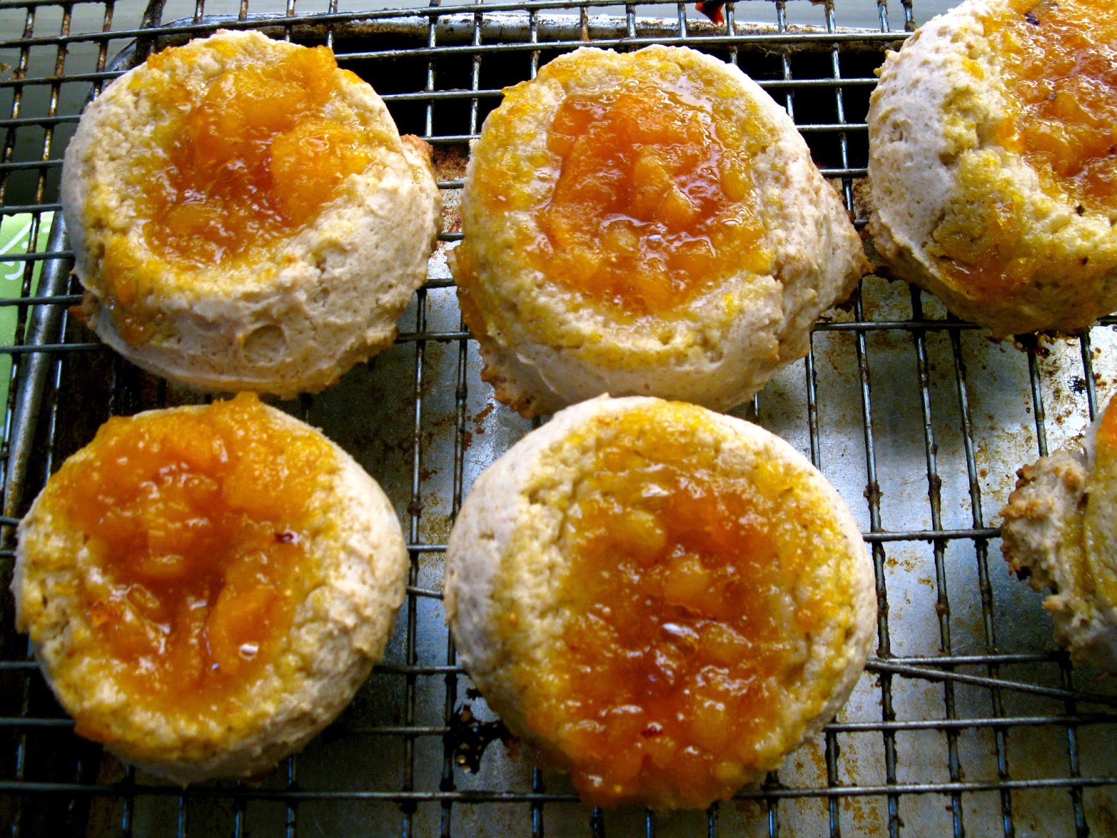 GOBSMACKED BAKING RECIPES APRICOT DELIGHTS...VEGAN FRUIT COOKIES