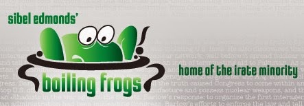 Boiling Frogs Post