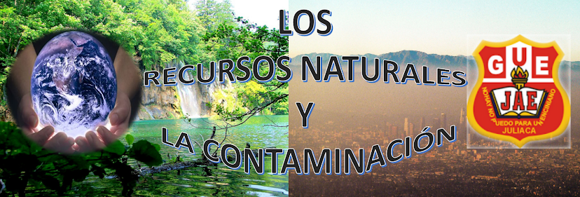 los recursos naturales y la contaminacion