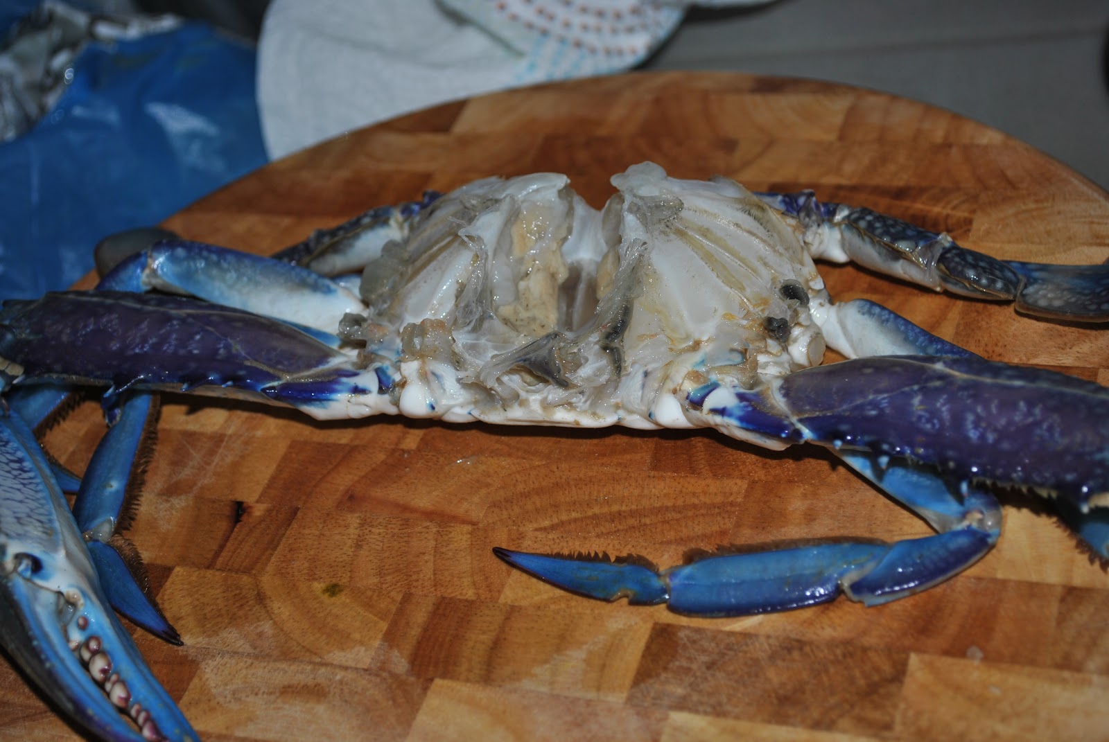 All that is GOOD about FOOD How to cook a blue swimmer crab and two beautiful preparations