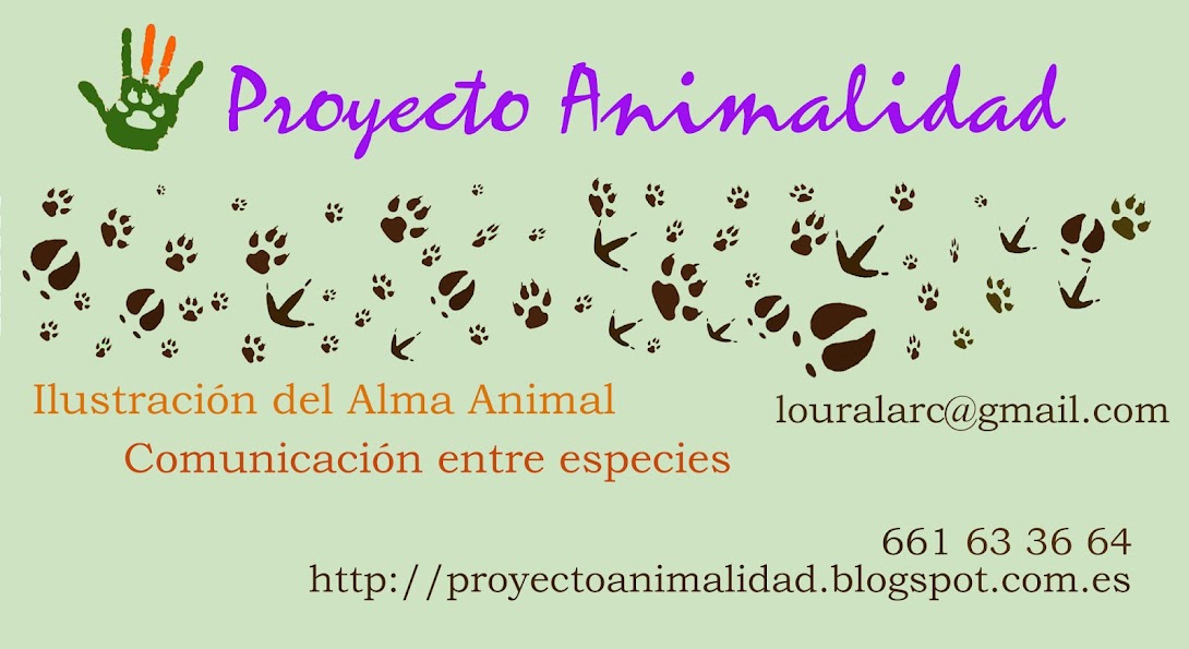 Proyecto Animalidad