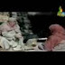 Prophet yousef A.S 82 (Urdu)