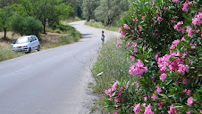 Ballade en voiture