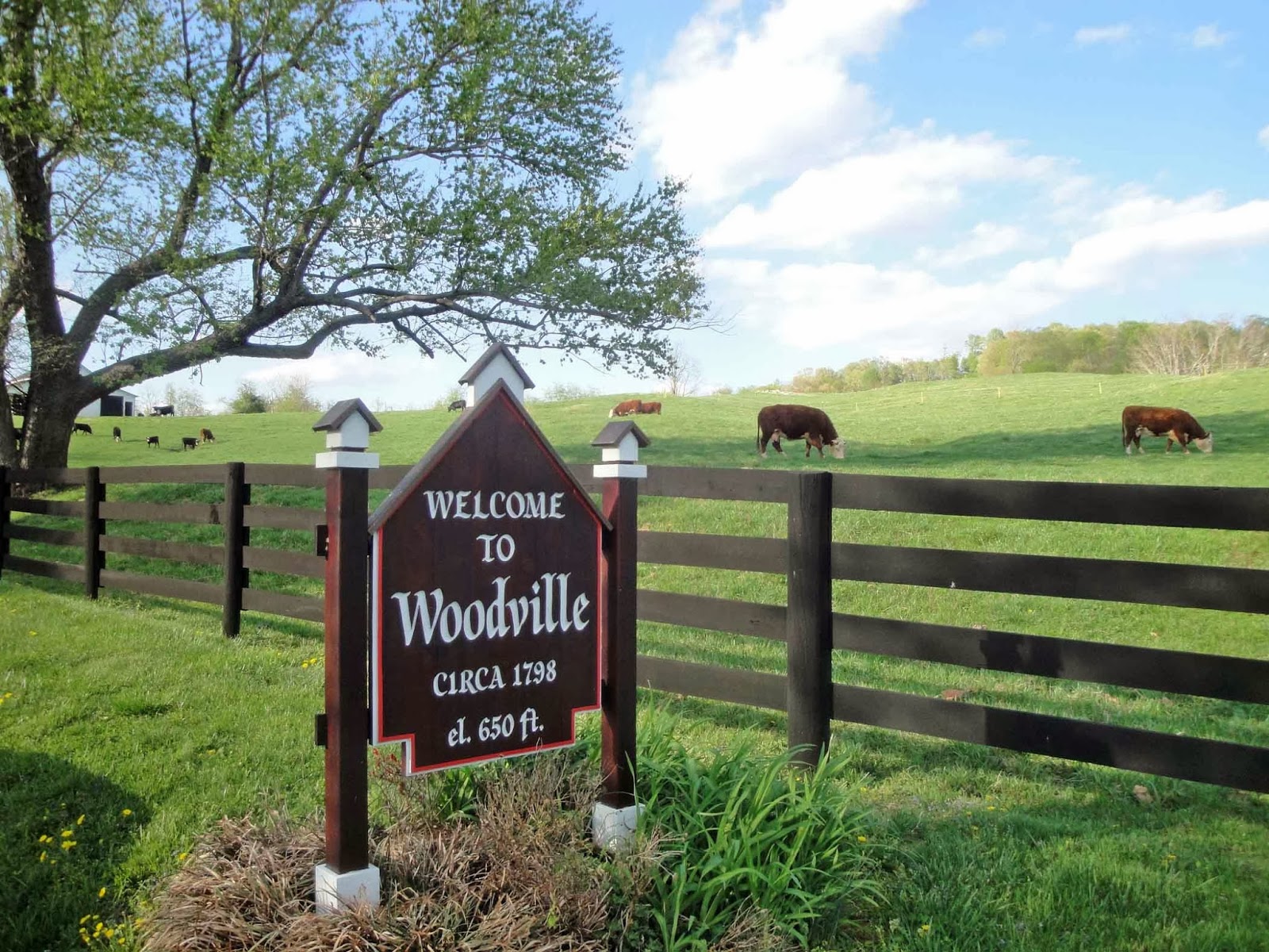 Geographically Yours Woodville, Virginia