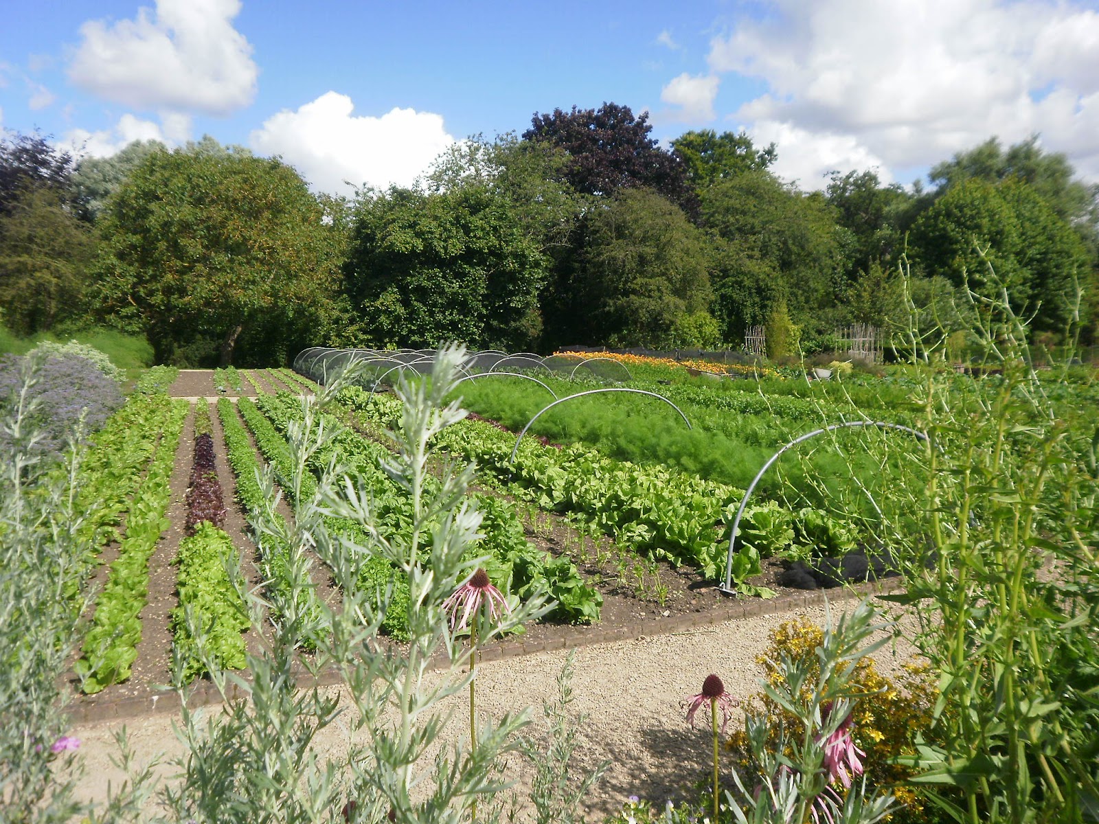 Julia Shaw Garden Design Le Manoir aux Quat' Saisons Summer Internship
