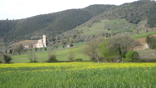 Sant'Antimo abbey in spring. Seen from the road that leads to Montalcino. 