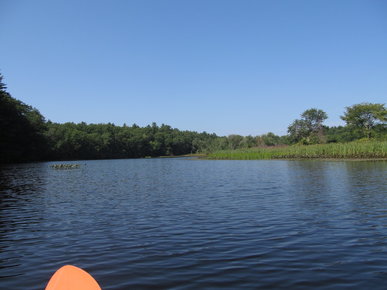 Recreational Kayaking in Maine Salmon Falls River, South Berwick