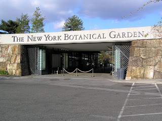 Dan Zwirn | NY Botanical Garden