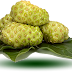 Segudang Manfaat dari Buah Mengkudu - KRITERIATOR