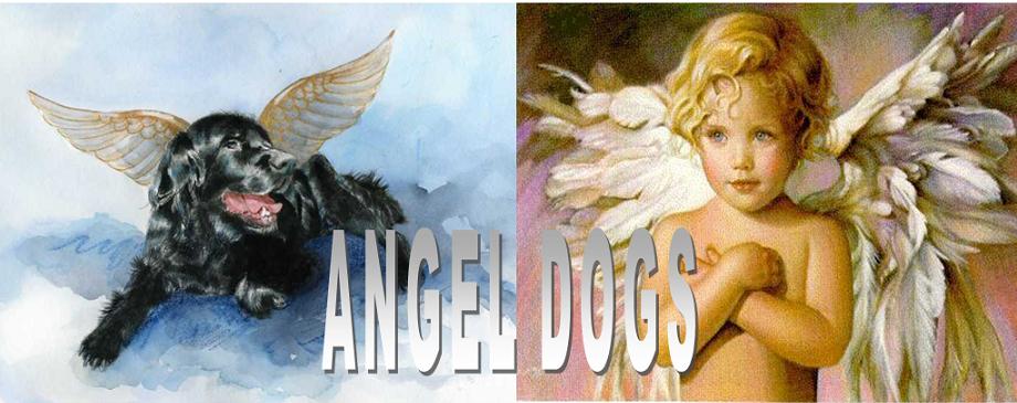 Protetores Angel Dogs