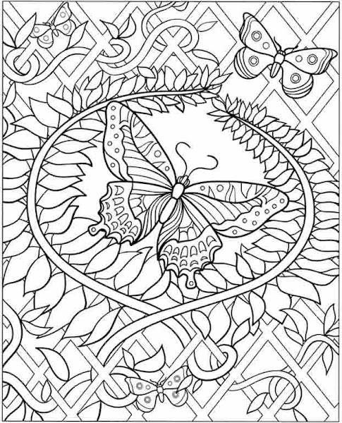 Hard Butterfly Coloring Pages Adult