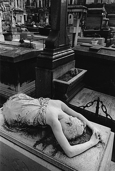 evelyn mchale original photo