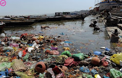 CANBIOS DEL MEDIO AMBIENTE