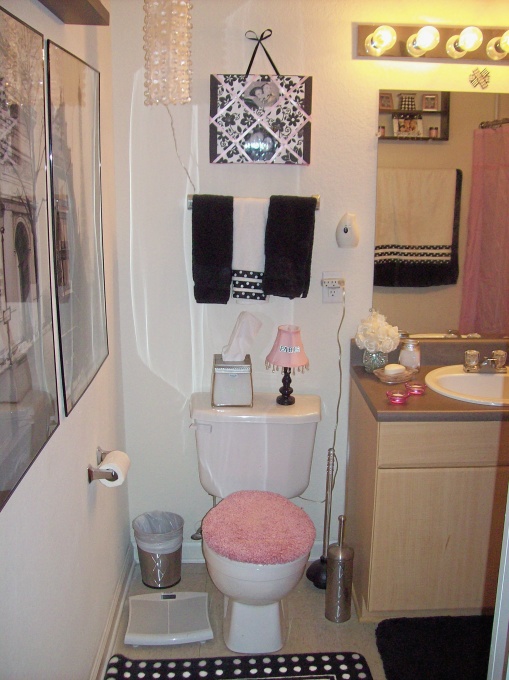 Apartment Decorating Ideas College Apartment Decorating Ideas College