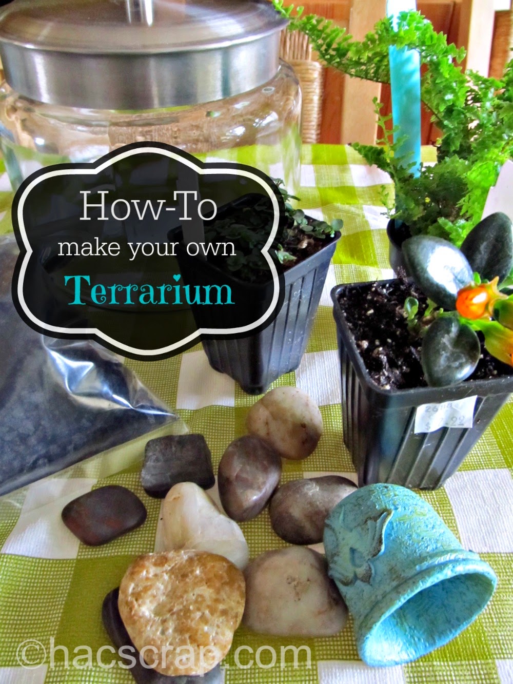 How To Make Your Own Terrarium My Scraps