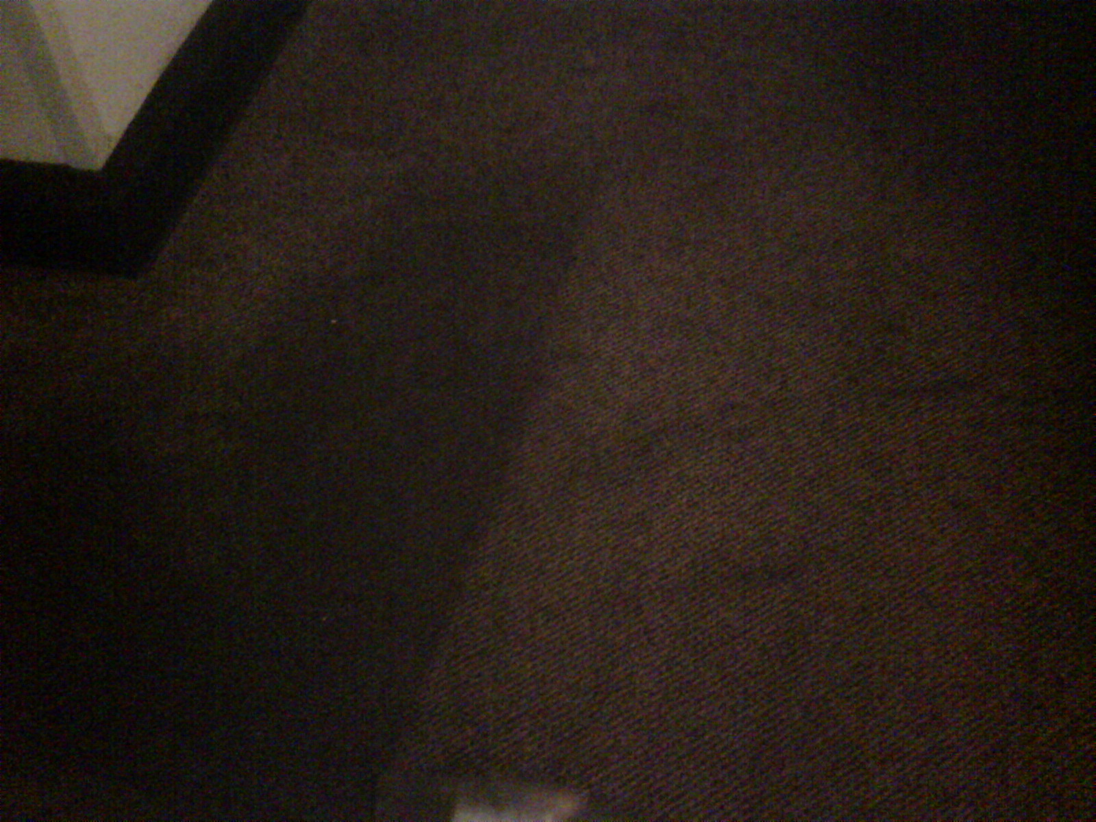 Carpet and Floor Cleaning Einstein Cleaning Services 636 294 6109