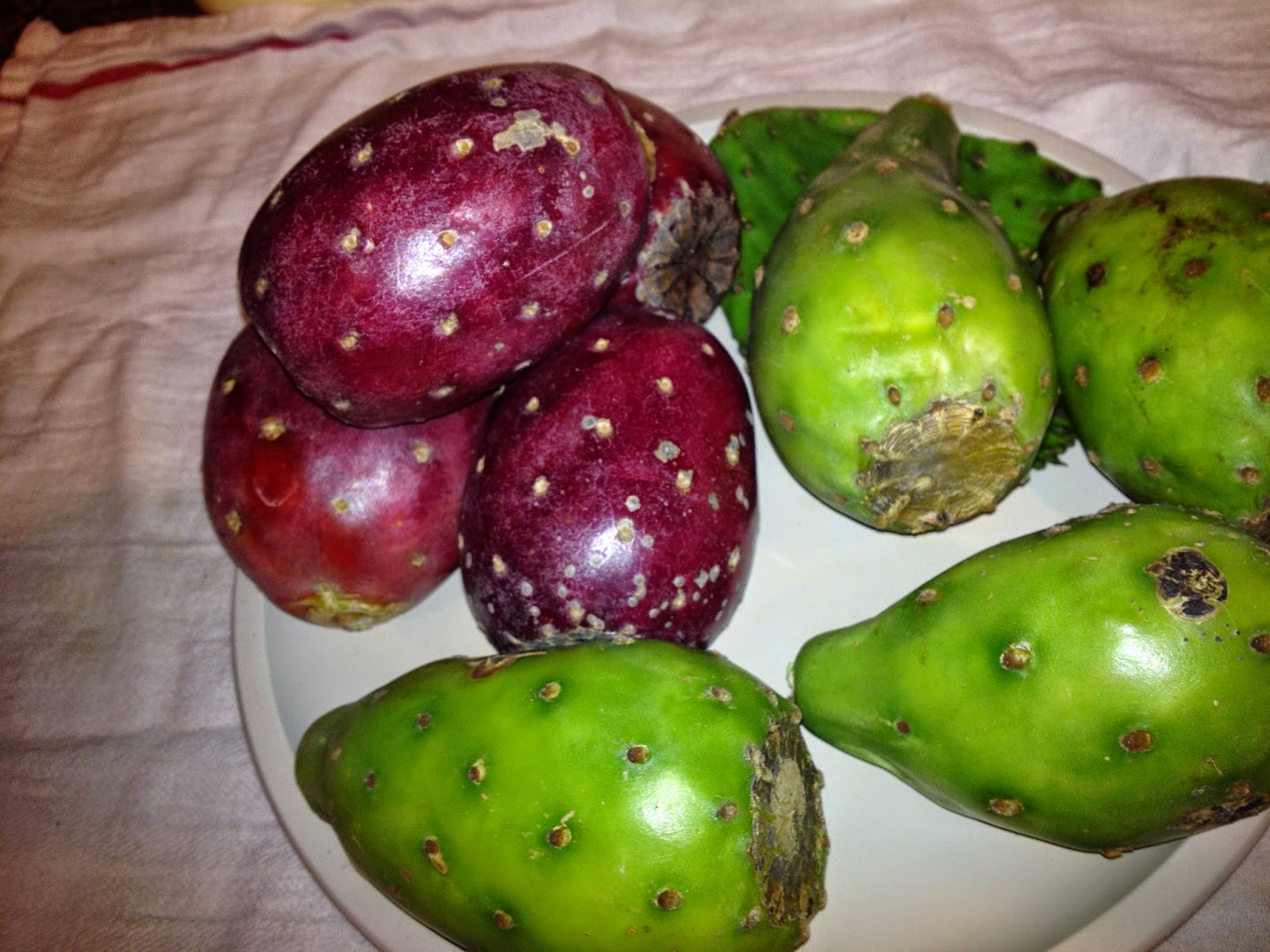 Everyday Tonkawa Recipes