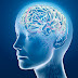 Cerebro de genio