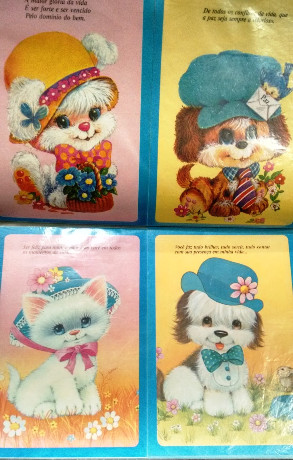 Edi - Arte Amada Edi - Arte Amada
