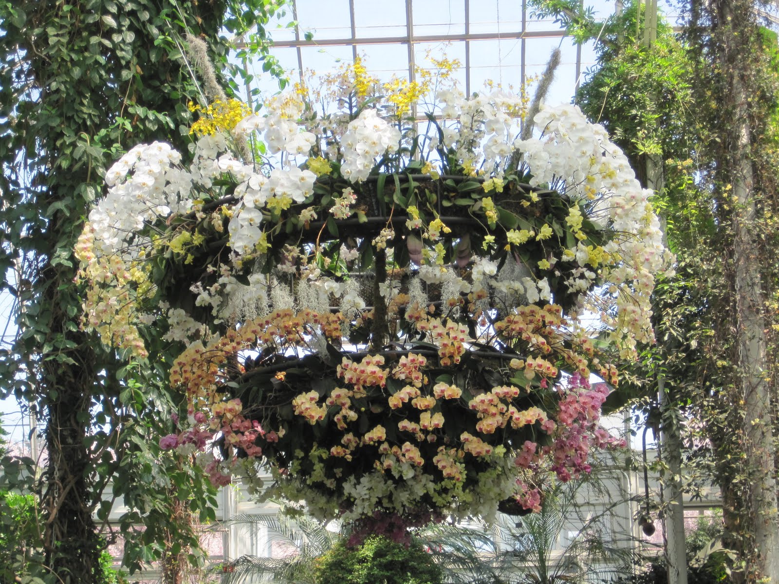 Calling it Home: New York Botanical Gardens