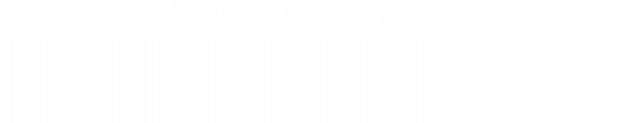 AGUS AMIN PRIONO