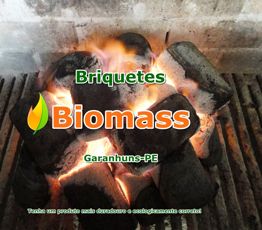 Carvão Ecológico Biomass